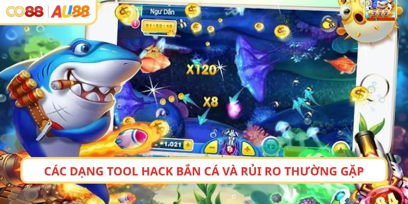 Các dạng tool bắn cá và rủi ro thường gặp