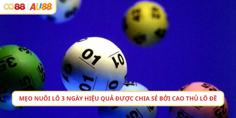 Mẹo nuôi lô 3 ngày hiệu quả được chia sẻ bởi cao thủ lô đề