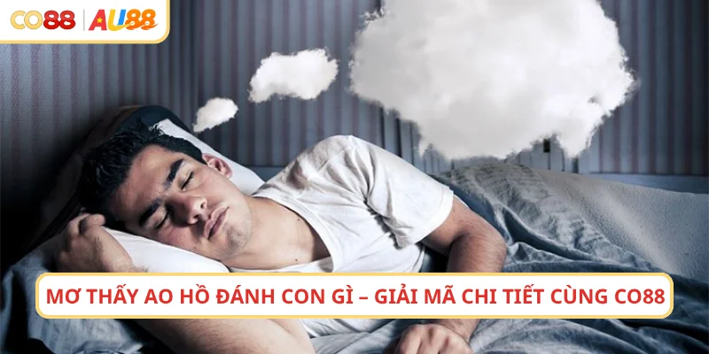 Mơ Thấy Ao Hồ Đánh Con Gì – Giải Mã Chi Tiết Cùng CO88