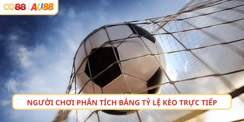Người chơi phân tích bảng tỷ lệ kèo trực tiếp