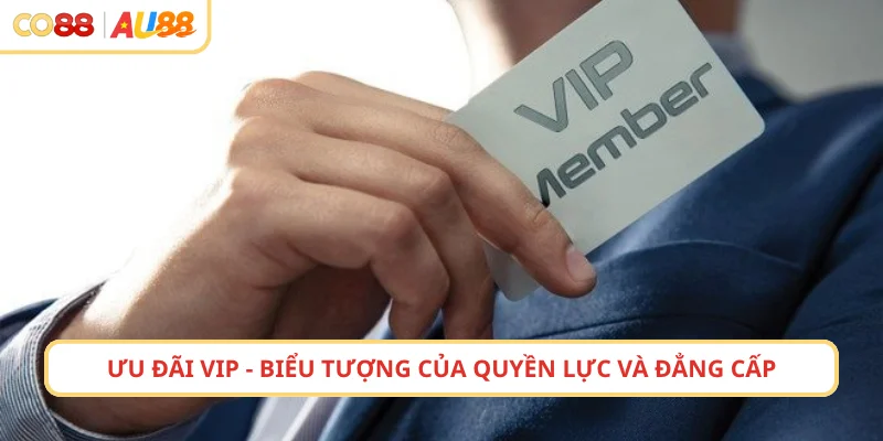 Ưu đãi siêu VIP - biểu tượng của quyền lực và đẳng cấp
