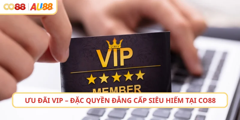 Ưu Đãi VIP – Đặc Quyền Đẳng Cấp Siêu Hiếm Tại CO88