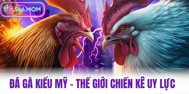 đá gà kiểu mỹ tại nhà cái thomo đá gà 566