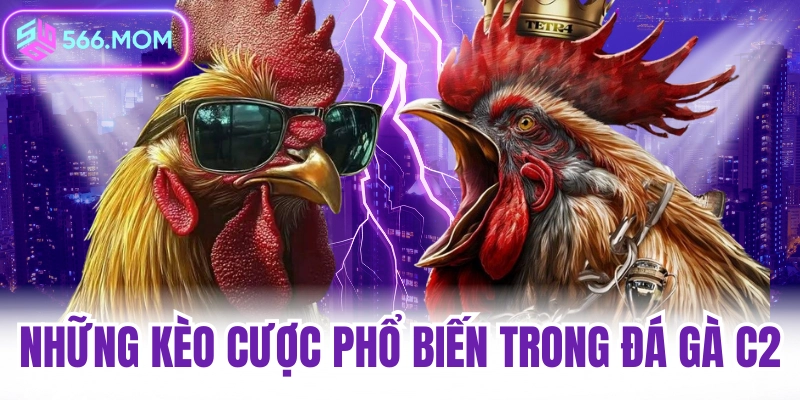 những kèo phổ tiến tại đá gà 566
