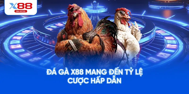 Đá gà X88 mang đến tỷ lệ cược hấp dẫn