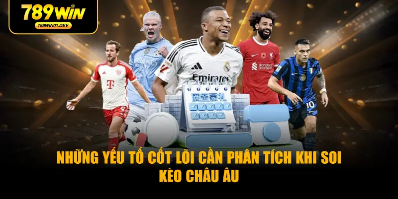 Những Yếu Tố Cốt Lõi Cần Phân Tích Khi Soi Kèo Châu Âu